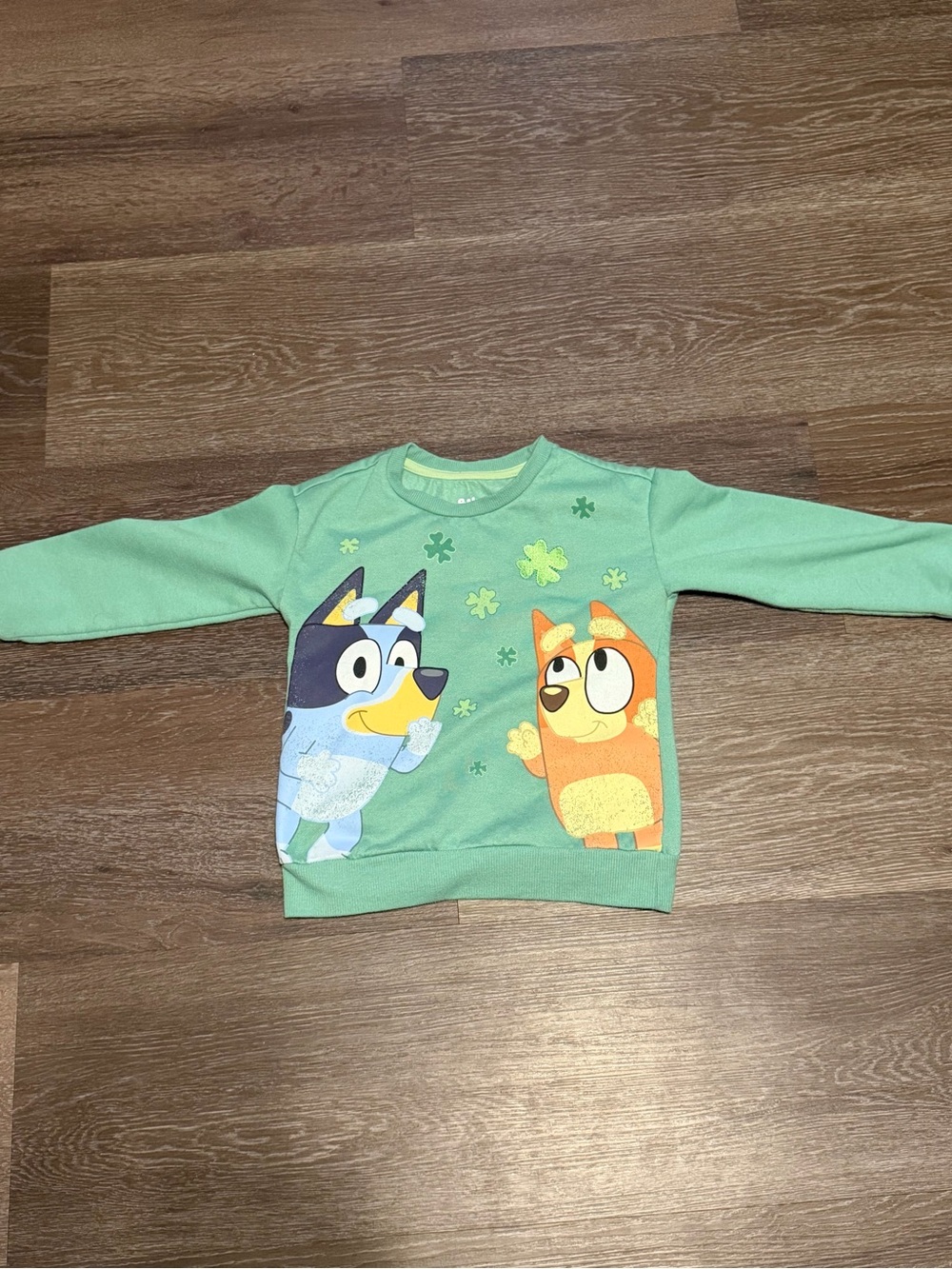 Blue & Bingo St. Patrick Day sweatshirt for a size 5T